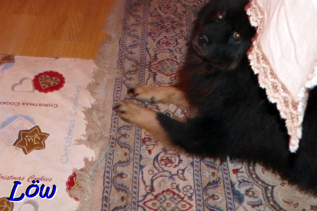 24.12.2025 - Rasten